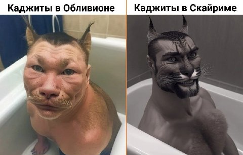 Каджиты в Обливионе Каджиты в Скайриме