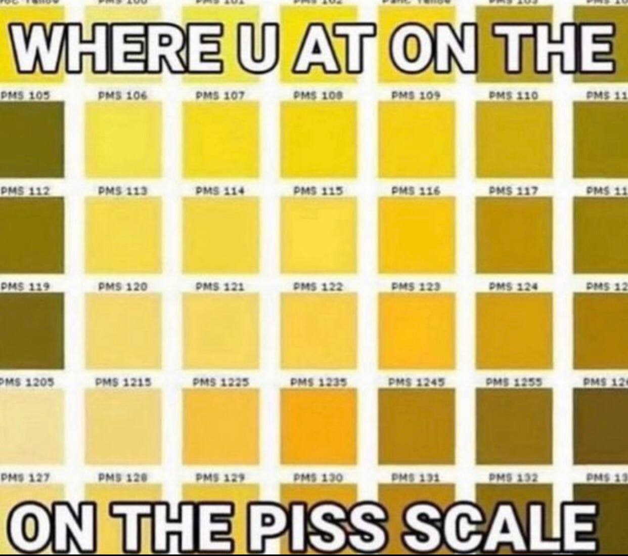 PMS 103 PMS 106 107 108 109 110 11 PMS 112 113 pms 114 115 OMS 116 PMS 117 11 PMS 119 120 121 122 123 124 12 PMS 1203 1213 123 1223 PMS 1245 1253 12: PMS 130 132 PMS 127 PMS 120 pms 129 PMs 191 pms 13