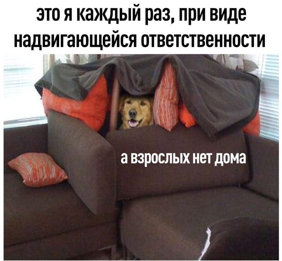 это я каждый раз, при виде надвигающейся ответственности авзрослых нет дома