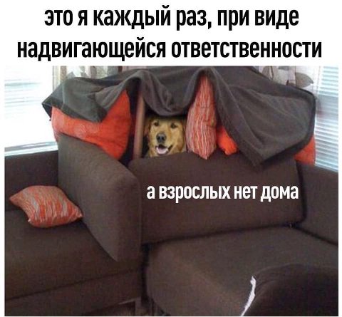 это я каждый раз, при виде надвигающейся ответственности авзрослых нет дома