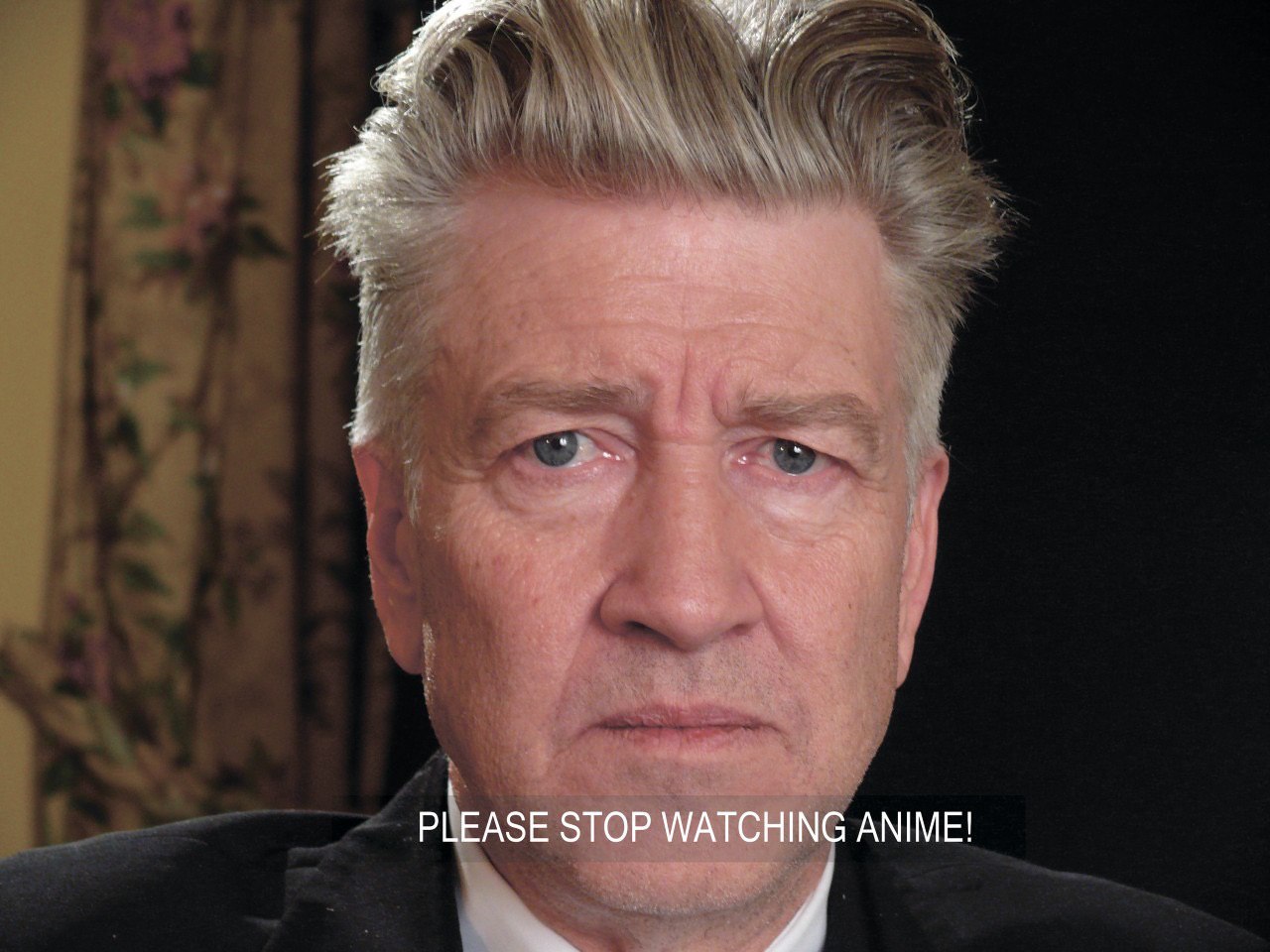 PLEASE STOP WATCHING ANIME!