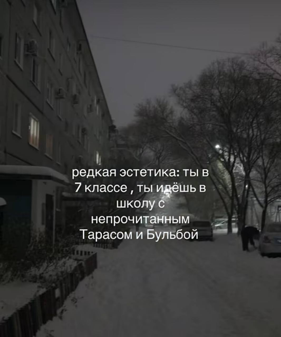 редкая эстетика: ты в ты идешь в школу с непрочитанным Тарасом и Бульбой