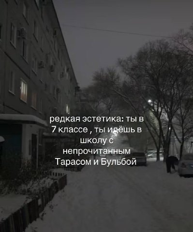 редкая эстетика: ты в ты идешь в школу с непрочитанным Тарасом и Бульбой
