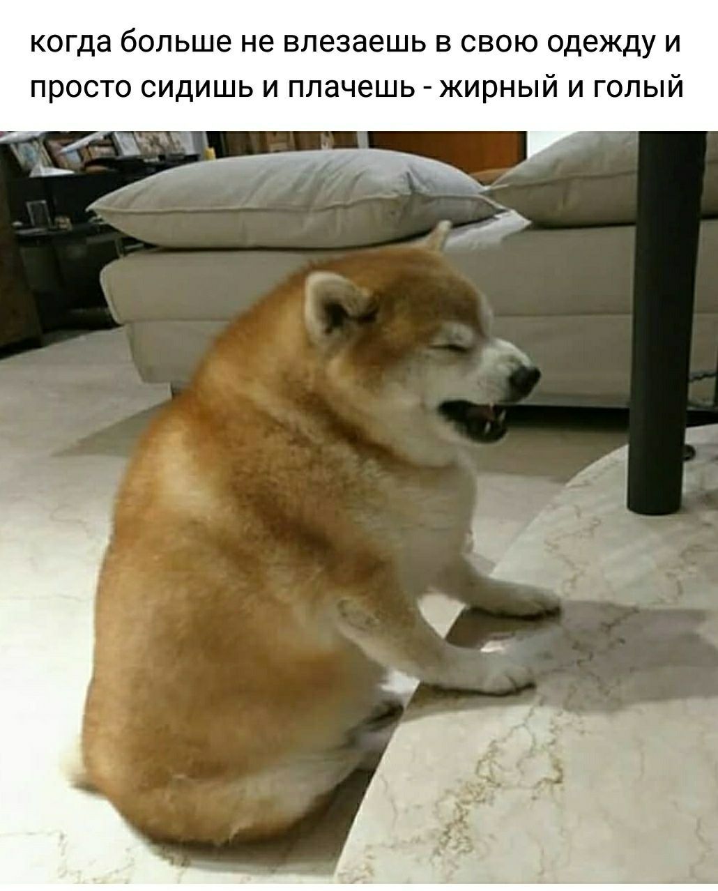 когда больше не влезаешь в свою одежду и просто сидишь и плачешь жирный и голый