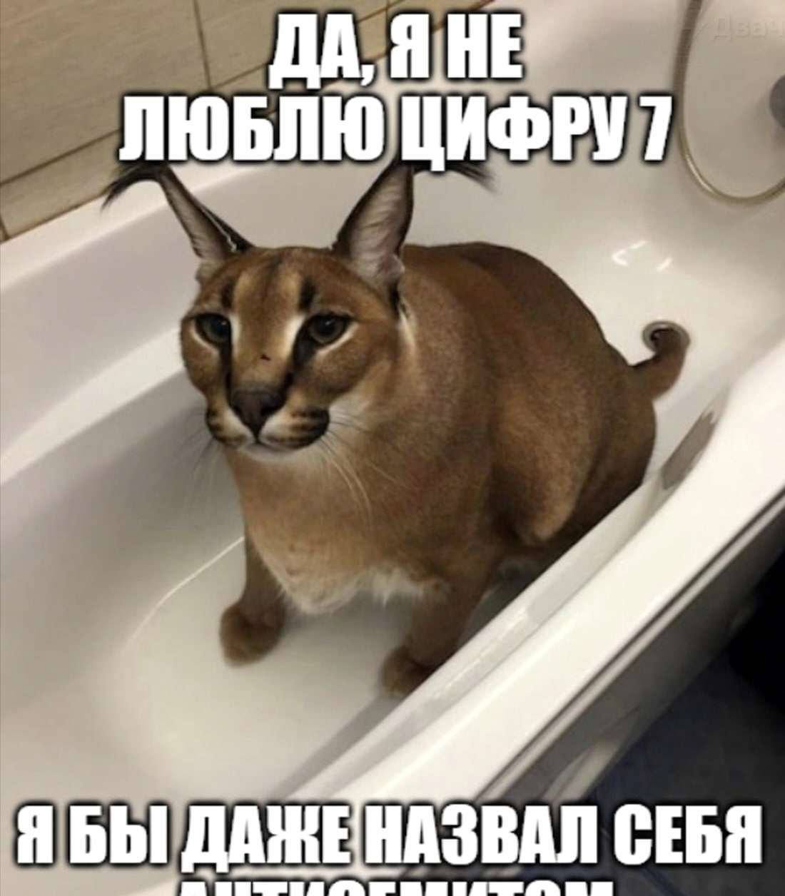 ДА, ДАЖЕНАЗВАЛ СЕБЯ