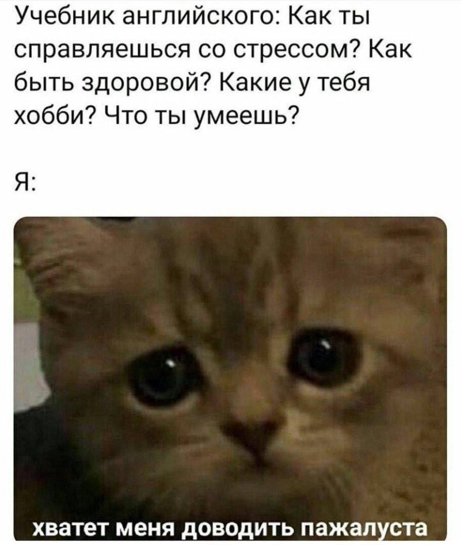 Учебник английского: Как ты справляешься стрессом? Как быть здоровой? Какие у тебя хобби? Что ты умеешь? Я: хватет меня доводить пажалуста
