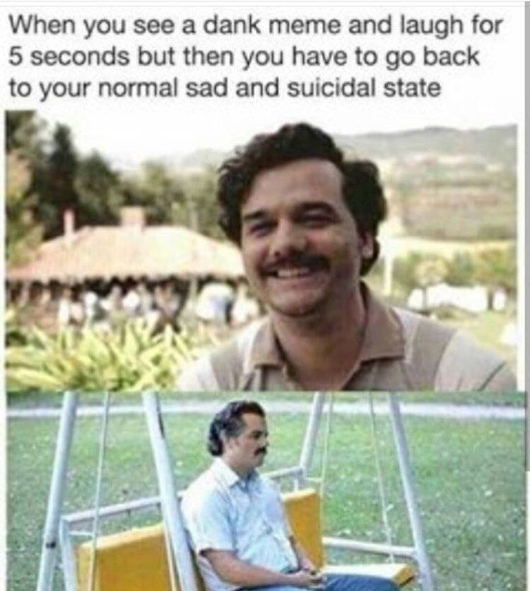 When you see а dank meme and laugh for 5 seconds but then you have to back to your normal sad and suicidal state 1$