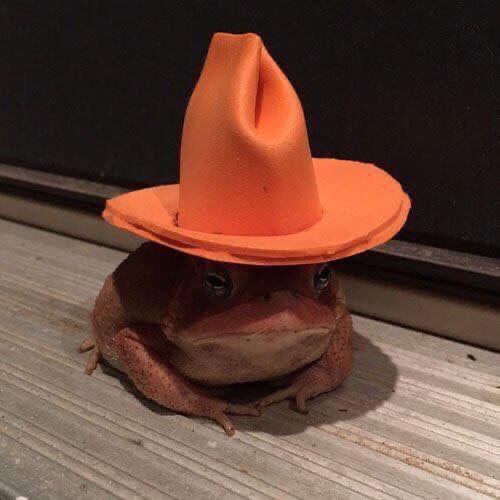 aN у