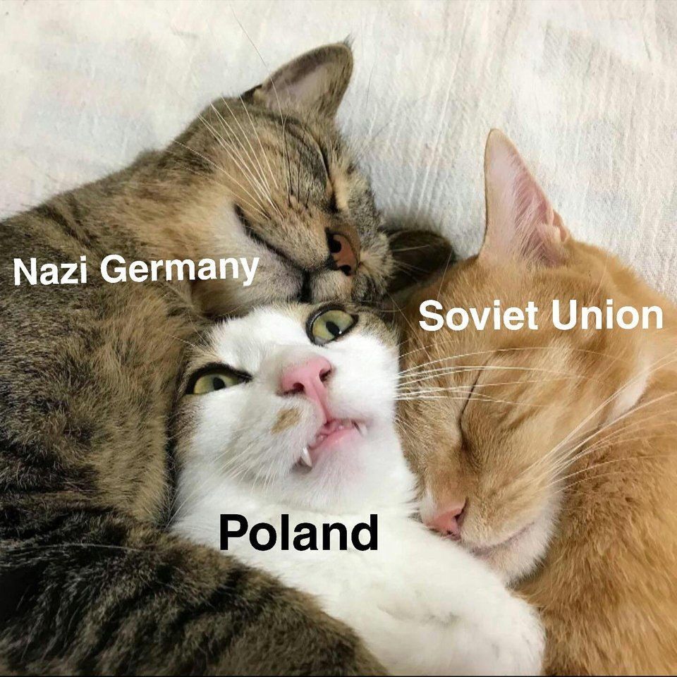 Nazi Germa Soe Poland