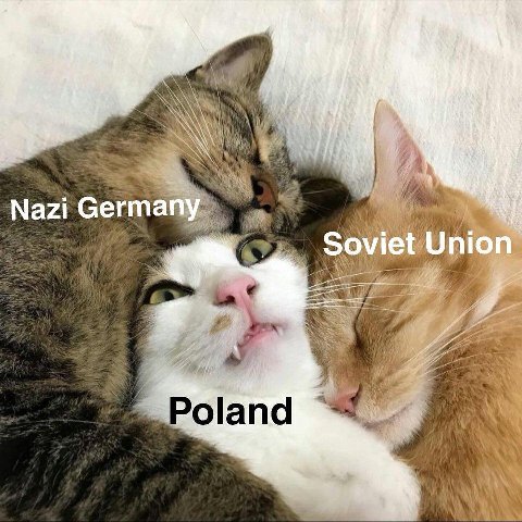 Nazi Germa Soe Poland
