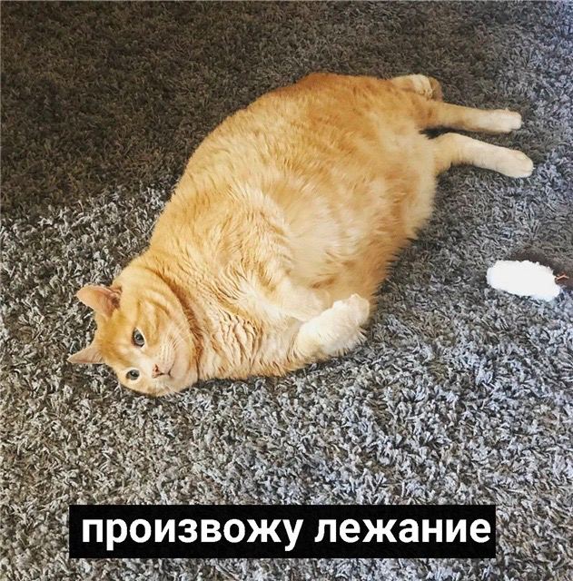 ite к 3 4 Произвожу лежание