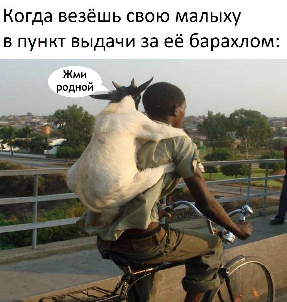 Когда везёшь свою малыху в пункт выдачи за её барахлом: Жми родной у Be