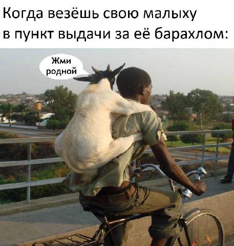 Когда везёшь свою малыху в пункт выдачи за её барахлом: Жми родной у Be