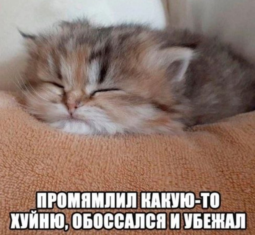4 ПРОМЯМЛИЛ КАКУЮ-ТО ХУЙНЮ, ОБОССАЛСЯ И УБЕЖАЛ