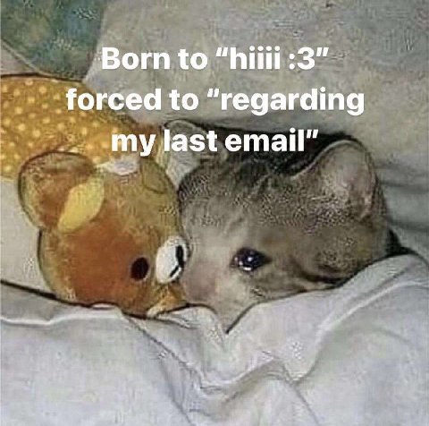 _Вогп to “hiiii :3" to “regarding my last email” 4 2%