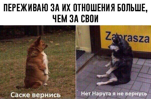 ПЕРЕЖИВАЮ ЗА ОТНОШЕНИЯ БОЛЬШЕ, ЧЕМ ЗА СВОИ Саске вернись Нет Нарута я не вернусь