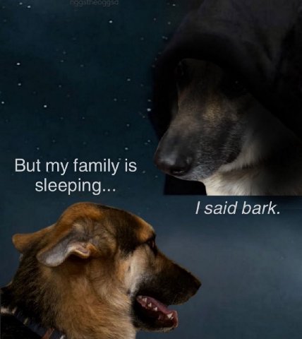 But my family is sleeping... said bark.