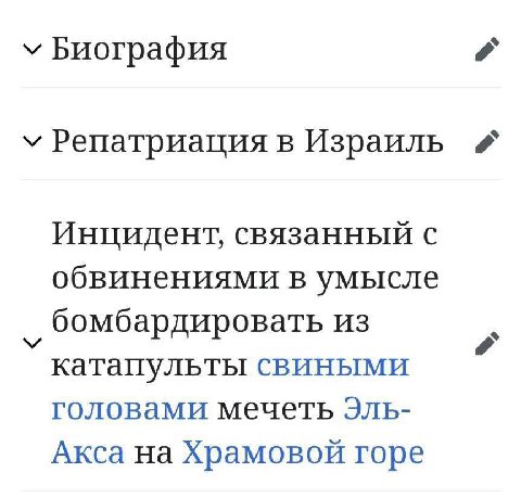 у Биография a у Репатриация в Израиль Инцидент, связанный с обвинениями в умысле бомбардировать из катапульты свиными головами мечеть Эль- Акса на Храмовой горе