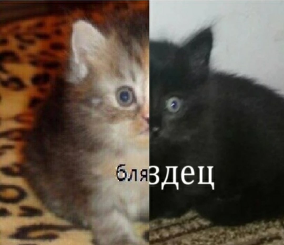 мой организм утром