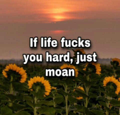 If life fucks you hard, just moan
