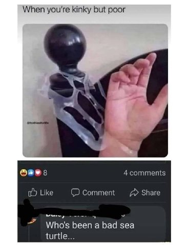 When you're kinky but poor 4 comments Like Comment Share Who's bad sea turtle...