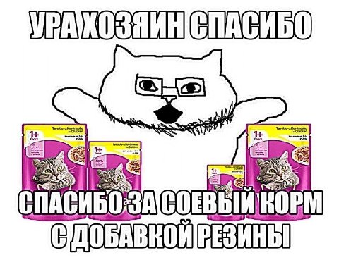 1+ 1+ Yeors 1+ СПАСИБО И KORM
