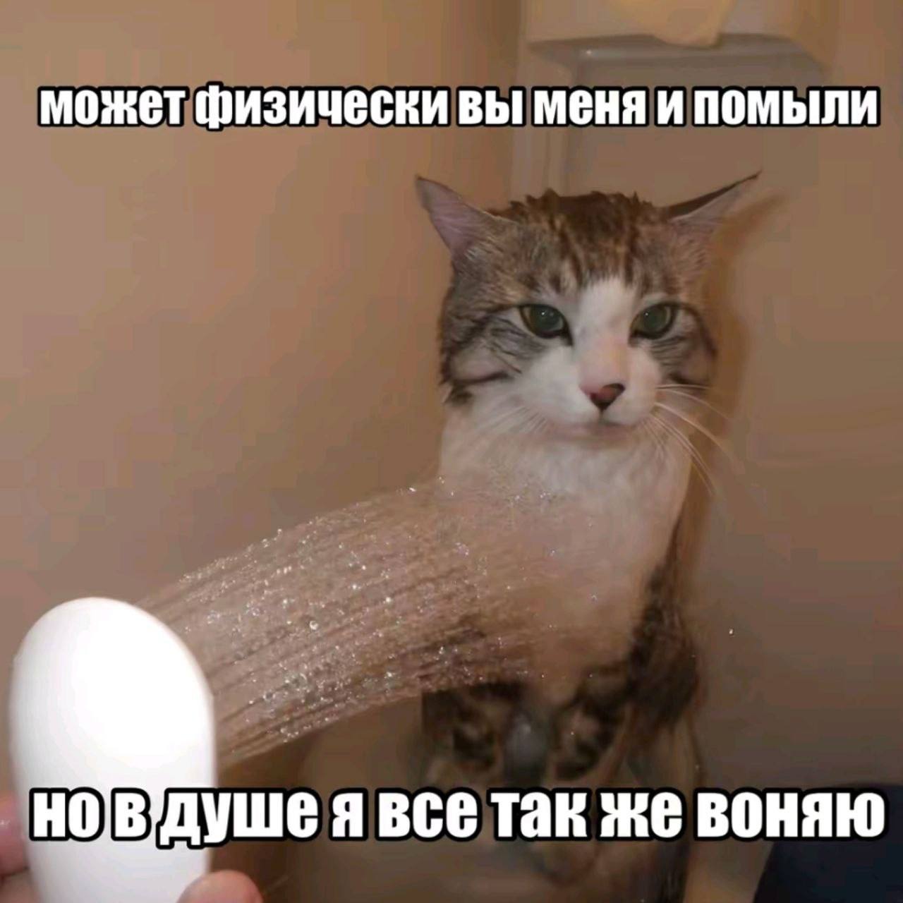 может физически вы меня и помыли я все так же воняю