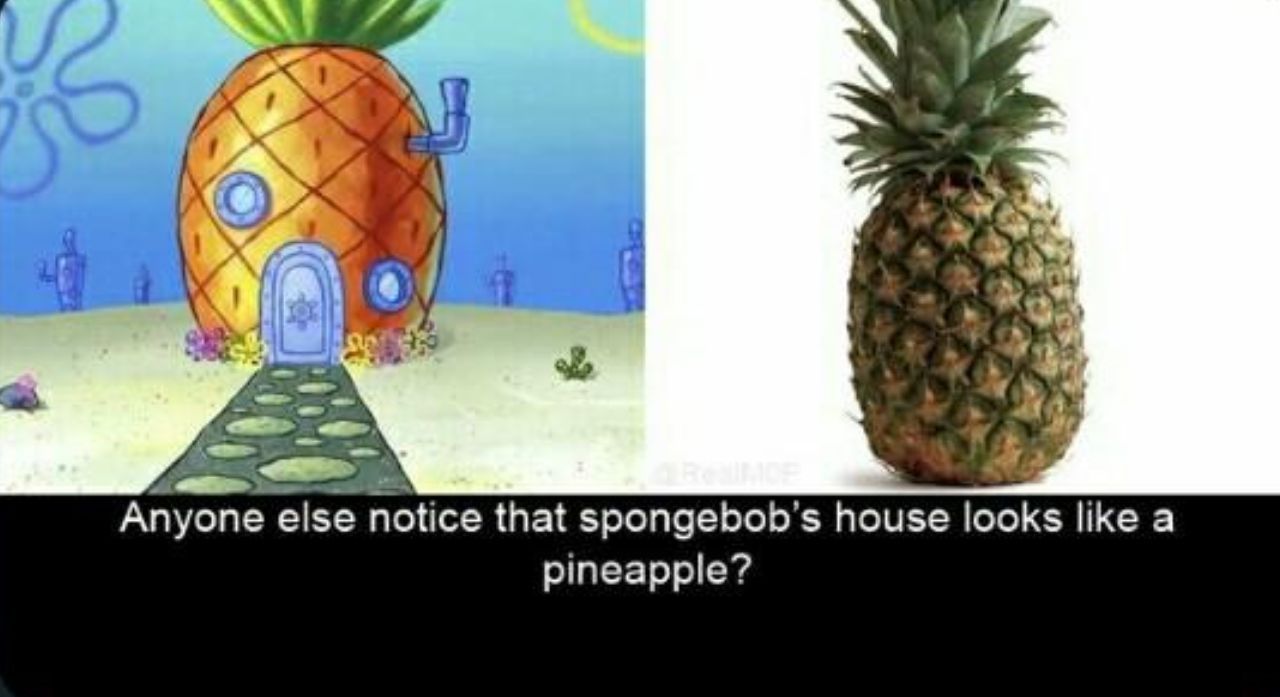 \i 7. 4 У С 4 Anyone else notice that spongebob’s house looks like а pineapple?