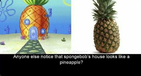 \i 7. 4 У С 4 Anyone else notice that spongebob’s house looks like а pineapple?