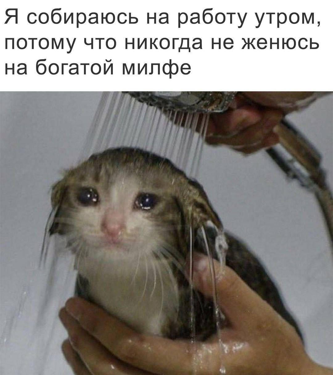 Я собираюсь на работу утром, потому что никогда не женюсь на богатой милфе