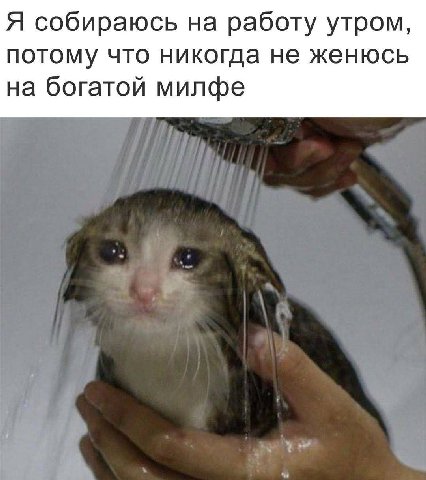 Я собираюсь на работу утром, потому что никогда не женюсь на богатой милфе