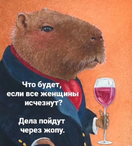 Что будет, если все женщины исчезнут? Дела пойдут через жопу.
