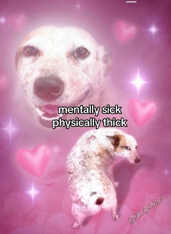 mentally sick ally thick Physic а