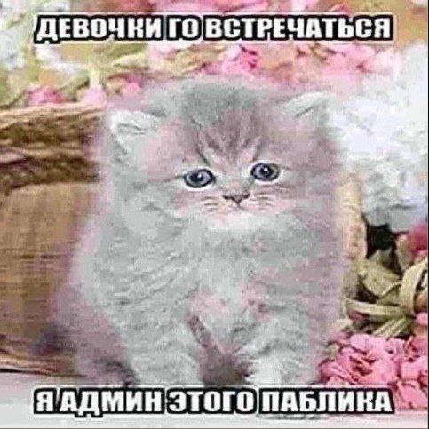 ‚ДЕВОЧКИ ВСТРЕЧАТЬСЯ „4 Этого