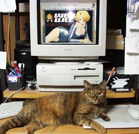 Cats liked old tech for a reason