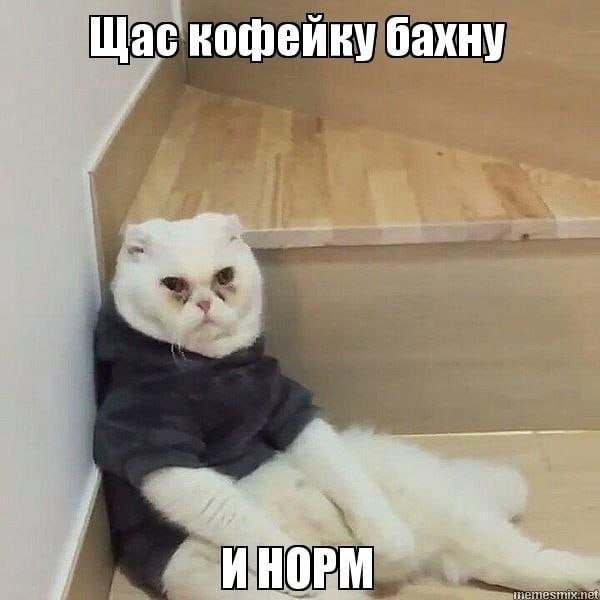 Щас кофейку бахну 4 ИНОРМ
