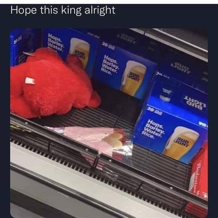 Hope this king alright