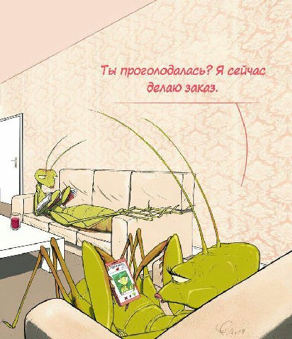 Ты проголодалась? Я сейчас делаю заказ.