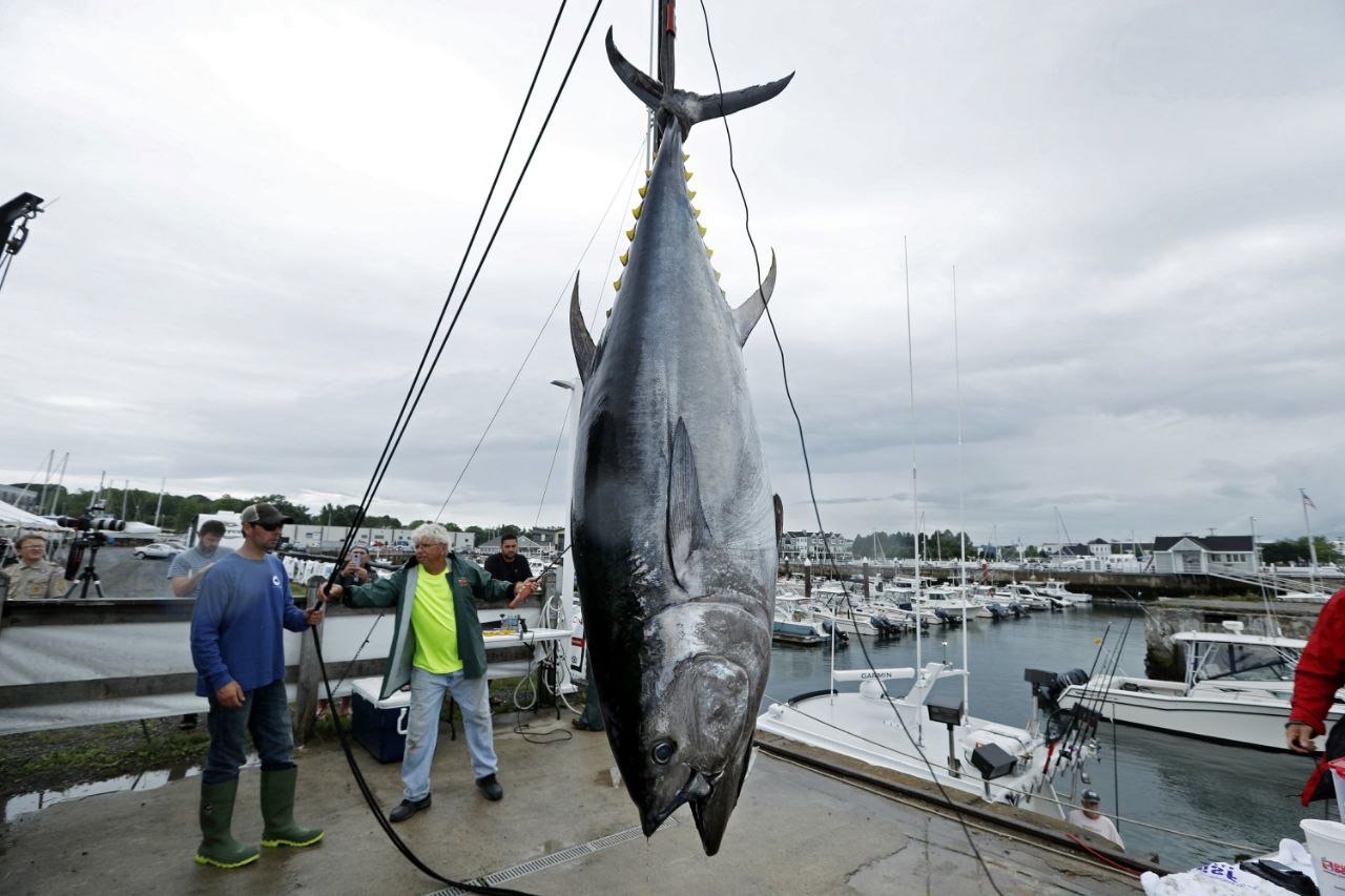 tunas does not exist
