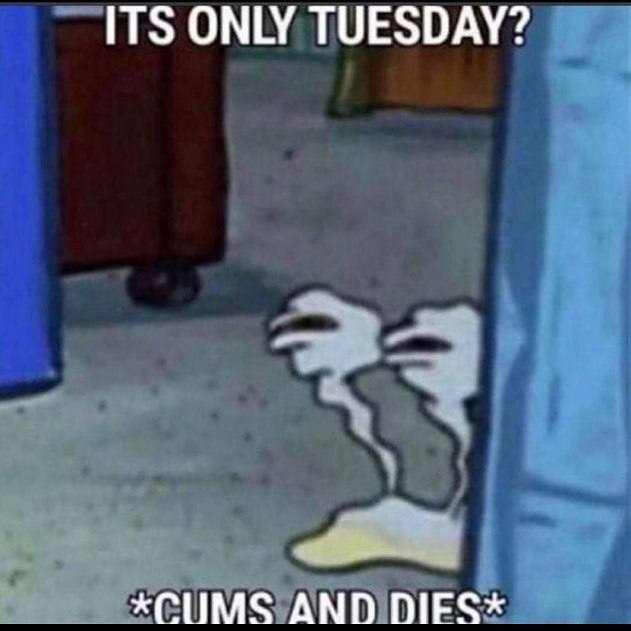 ITS ONLY TUESDAY? *CUMS AND