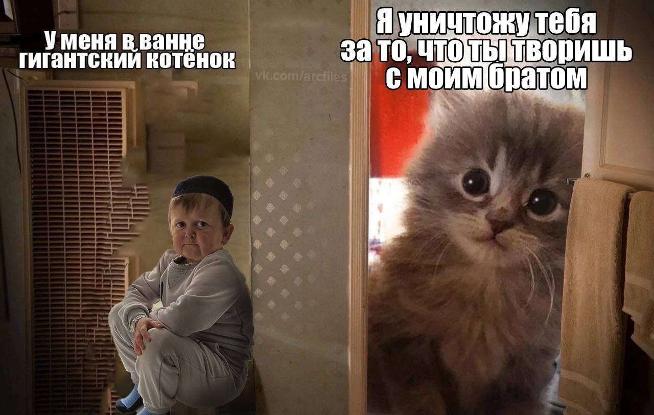Я уничтожу тебя гигантскии котенок Уменя в ванне зато, братом