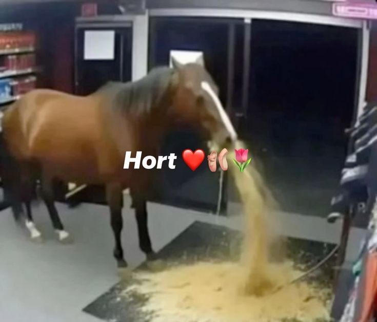 Hort
