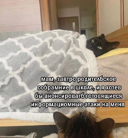 мам» завтро родителбское собрамниев я хотев анонсироватб инфОрмациомные атаки на меня