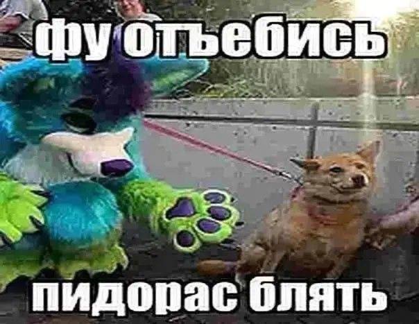 “thy отъебись пидорас блять
