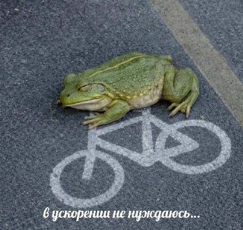 6 ускорении не нуждаюсь