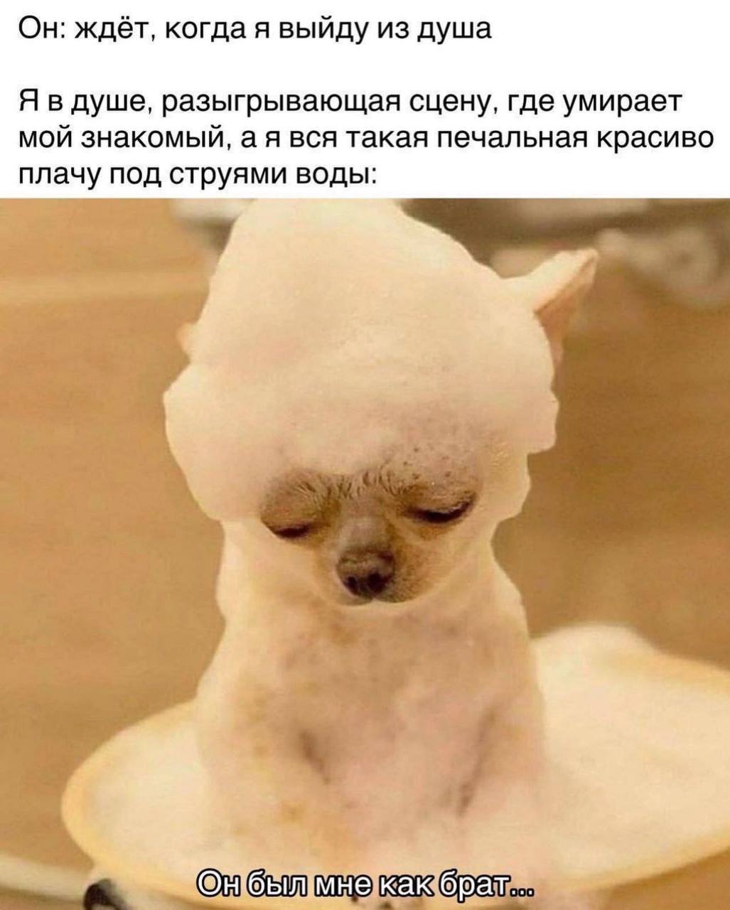 Он: ждёт, когда я выйду из душа Я разыгрывающая сцену, где умирает мой знакомый, а я вся такая печальная красиво плачу под струями воды: мнекаю брат