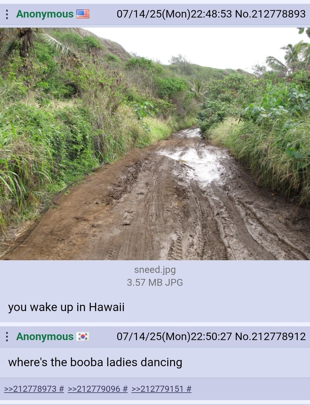 Anonymous 07/14/25(Mon)22:48:53 No.212778893 sneed.jpg 3.57 JPG you wake up in Hawaii Anonymous 07/14/25(Mon)22:50:27 No.212778912 where's the booba ladies dancing >>212778973 >>212779096 >>212779151