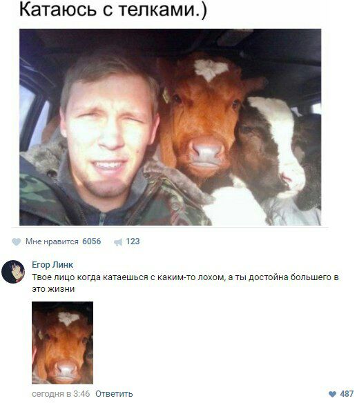 Катаюсь с телками.) 4 у a we Мне нравится 6056 123 Егор Линк Твое лицо когда катаешься с каким-то лохом, а ты достойна большего в это жизни сегодня в 3:46 Ответить 487