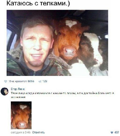 Катаюсь с телками.) 4 у a we Мне нравится 6056 123 Егор Линк Твое лицо когда катаешься с каким-то лохом, а ты достойна большего в это жизни сегодня в 3:46 Ответить 487
