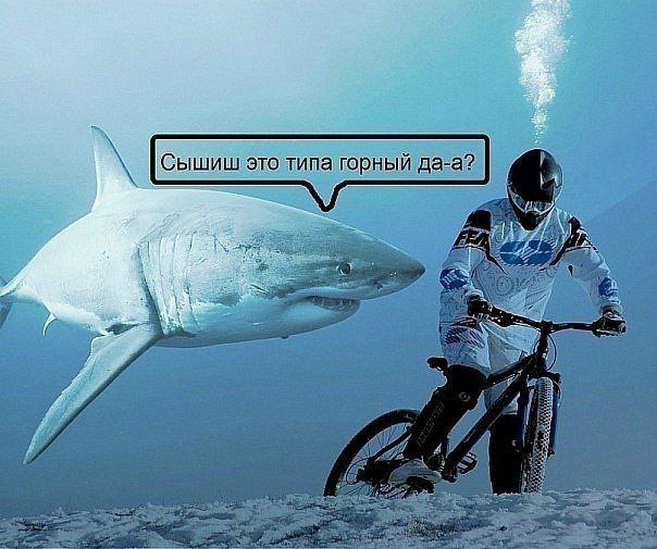 Сышиш это типа горны bey 7 {1